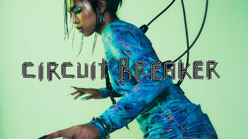CIRCUIT BREAKER